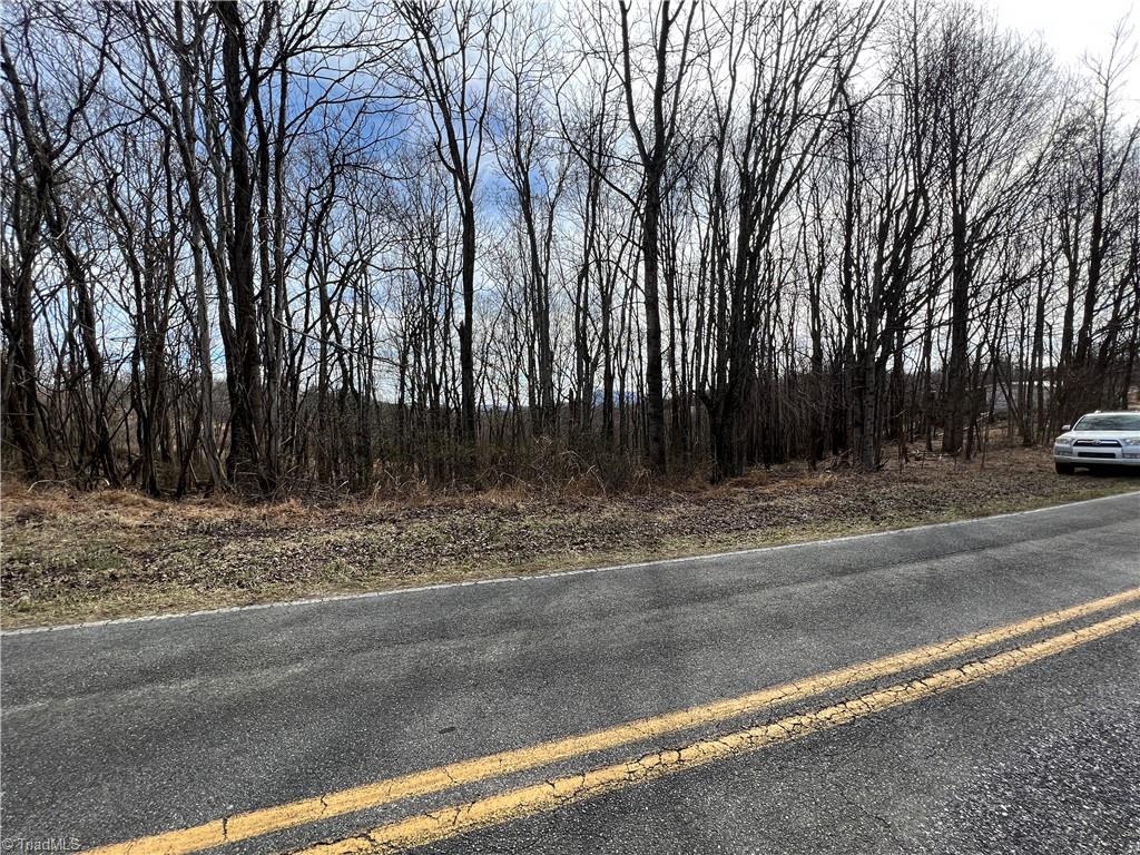 Xx Chestnut Ridge Road, Unit 1 5 AC / Mount Airy, NC 27030 - Photo 8 of 11 Gallery Image 8