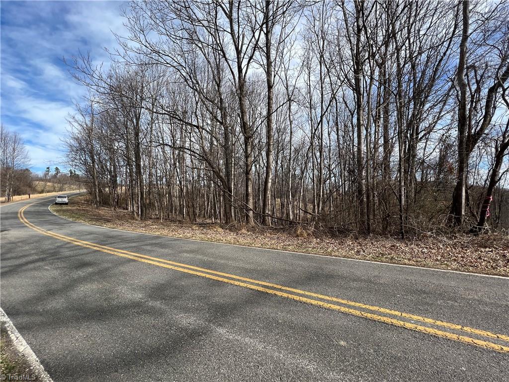 Xx Chestnut Ridge Road, Unit 1 5 AC / Mount Airy, NC 27030 - Photo 10 of 11 Gallery Image 10