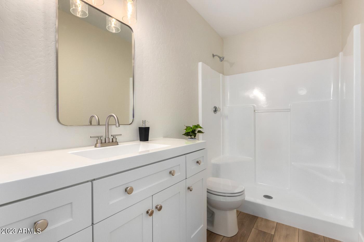 240 South Meridian Road Apache Junction, AZ 85120 - Photo 8 of 19 Primary bath