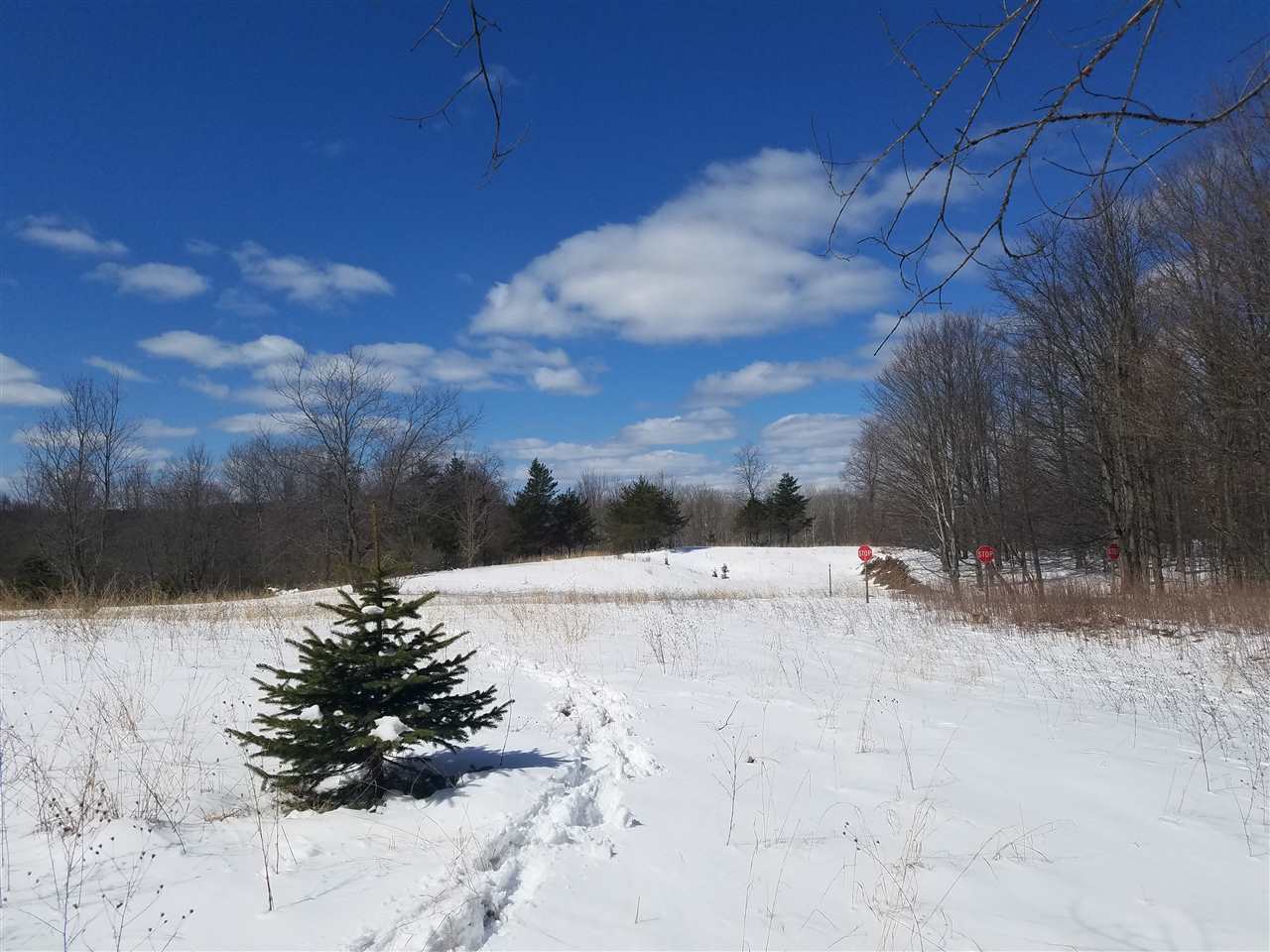 2412 South 15 Road Harrietta, MI 49638 - Photo 24 of 42 1844609-23.JPG