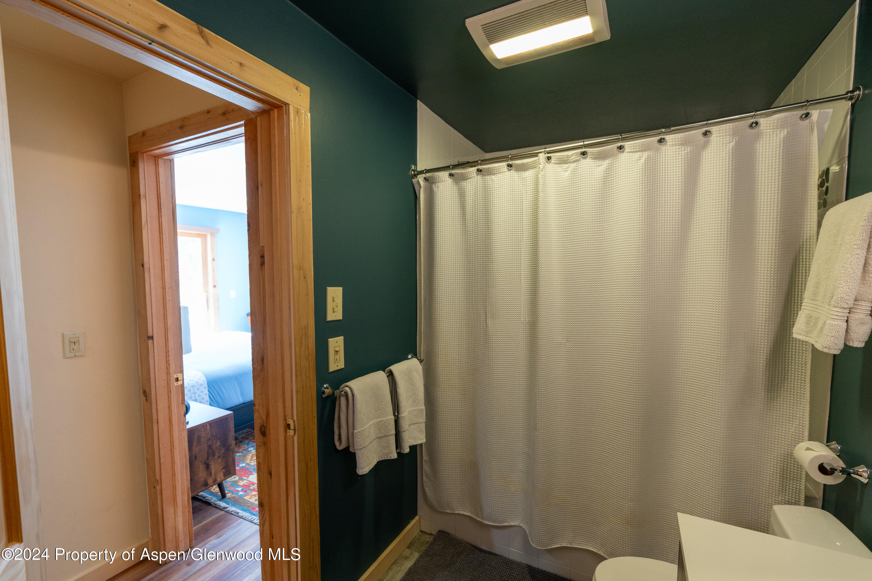 491 McLaughlin Lane Basalt, CO 81621 - Photo 44 of 56 a bathroom with a shower curtain and a sink