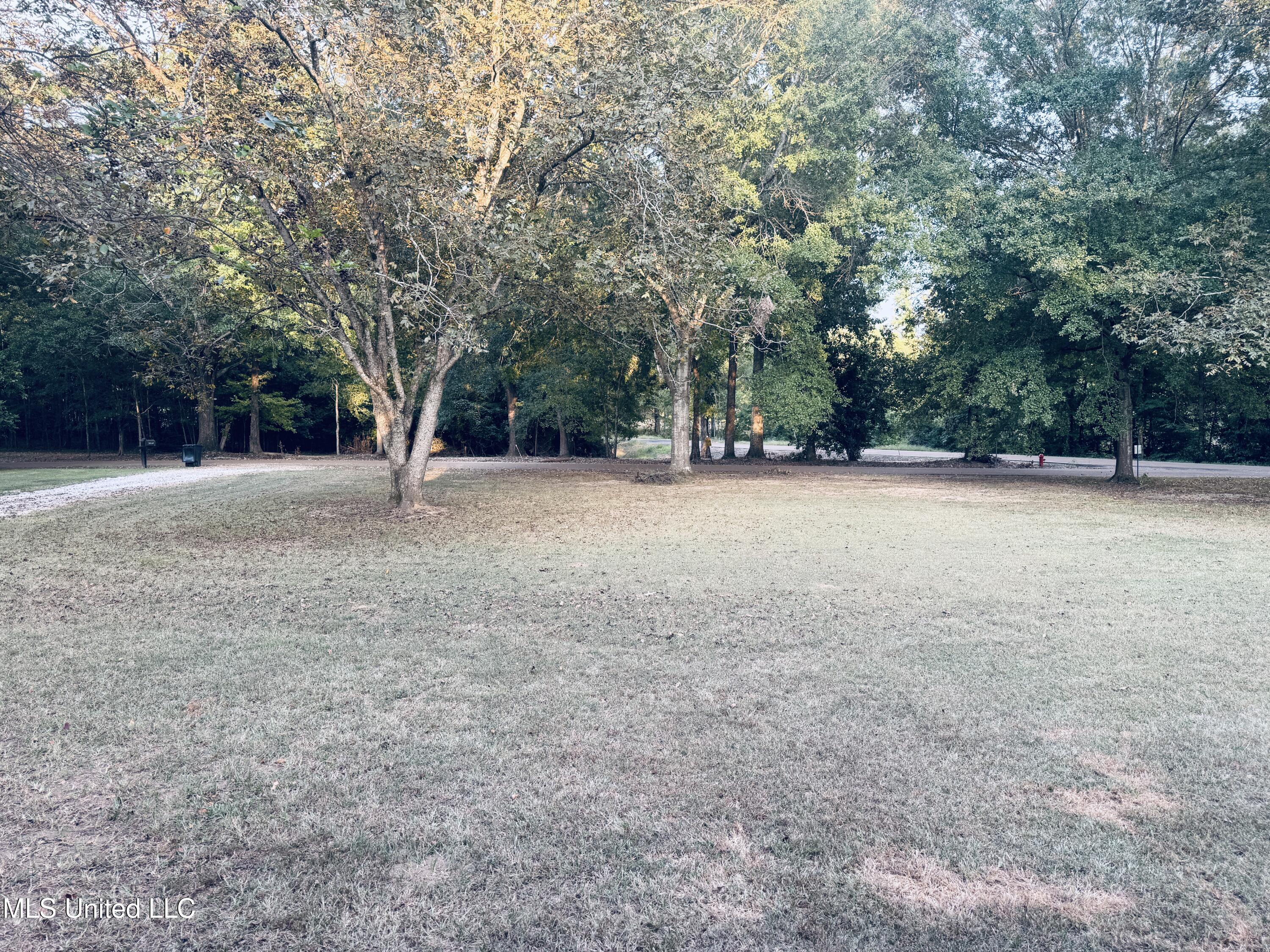 2 Pin Oak Drive Natchez, MS 39120 - Photo 3 of 39 IMG_0235