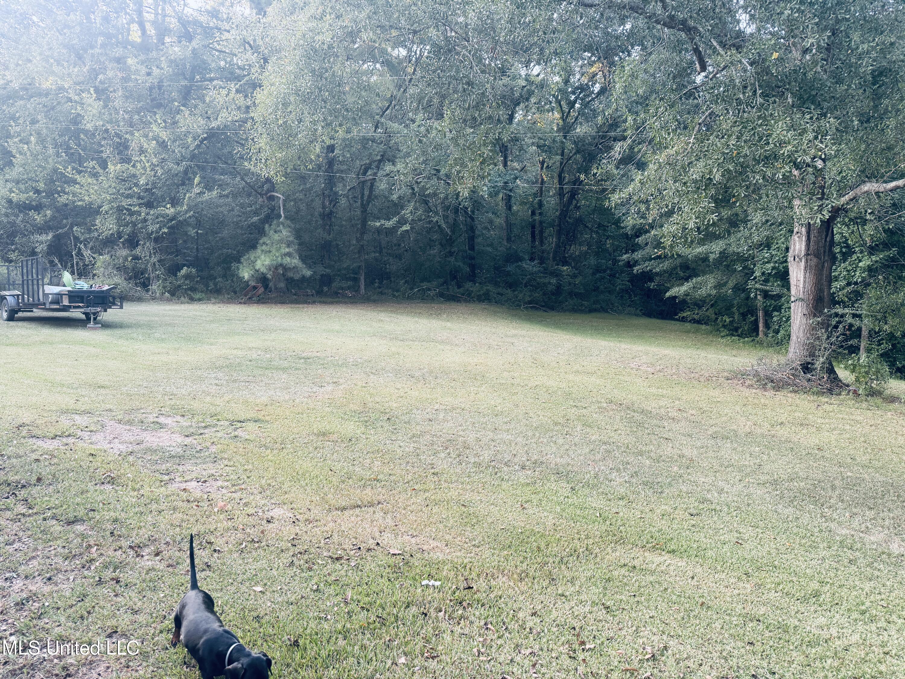 2 Pin Oak Drive Natchez, MS 39120 - Photo 31 of 39 IMG_0208