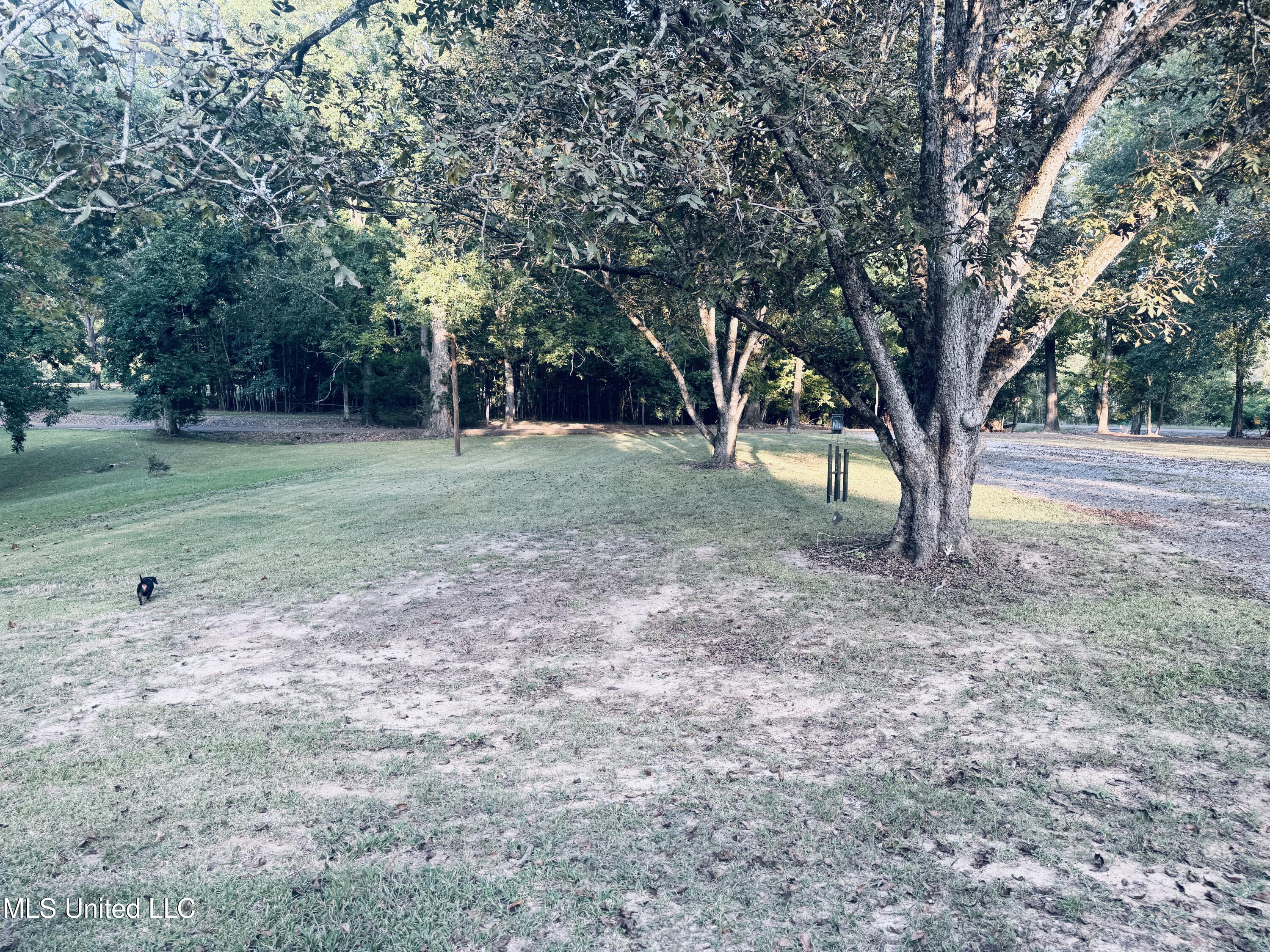 2 Pin Oak Drive Natchez, MS 39120 - Photo 33 of 39 IMG_0210