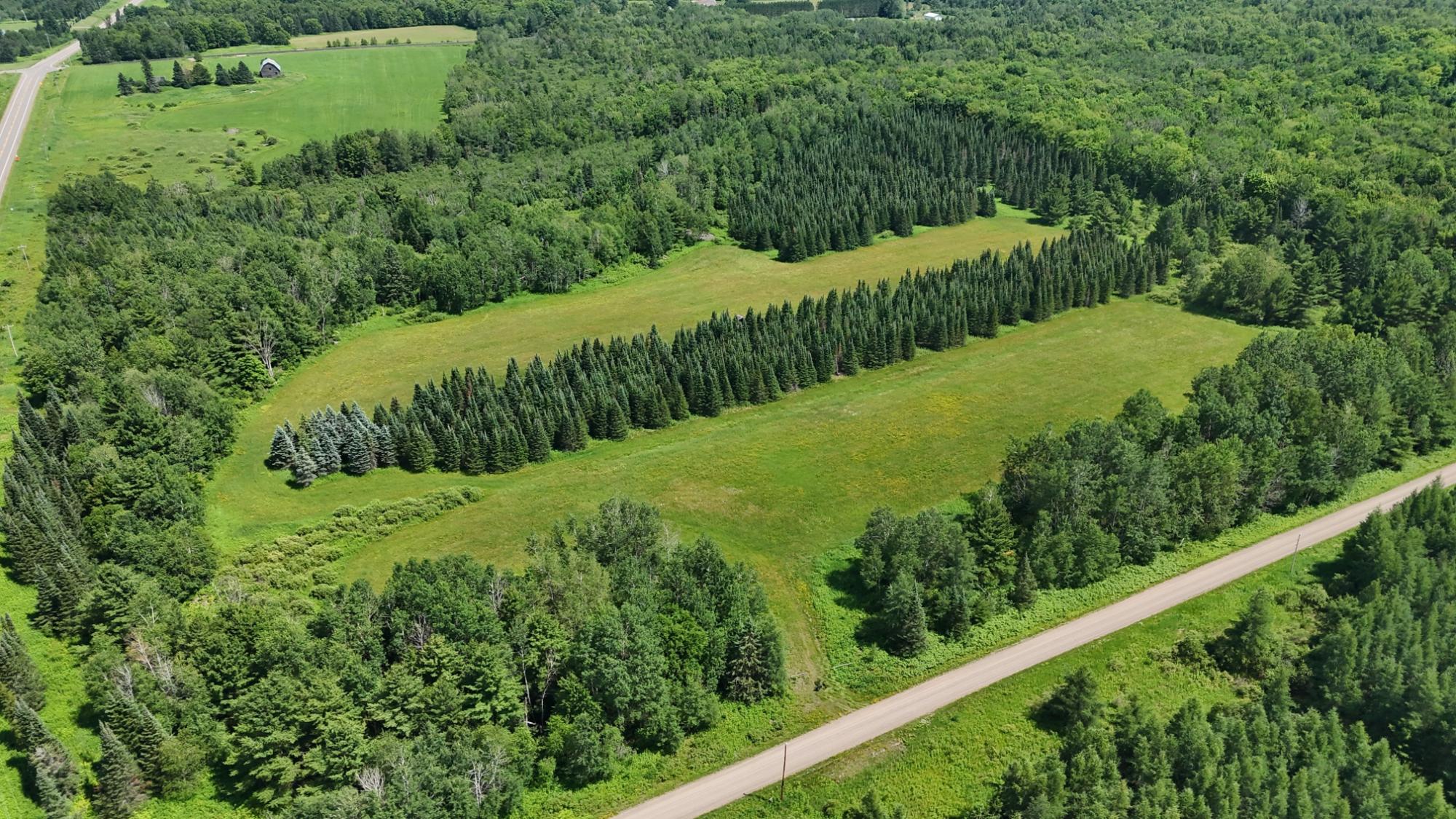On Hilmar Olson Road Ogema, WI 54459 - Photo 8 of 28