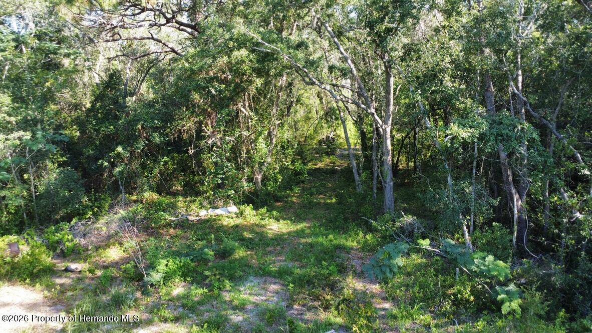 0 Little Ranch Road Spring Hill, FL 34610 - Photo 20 of 25