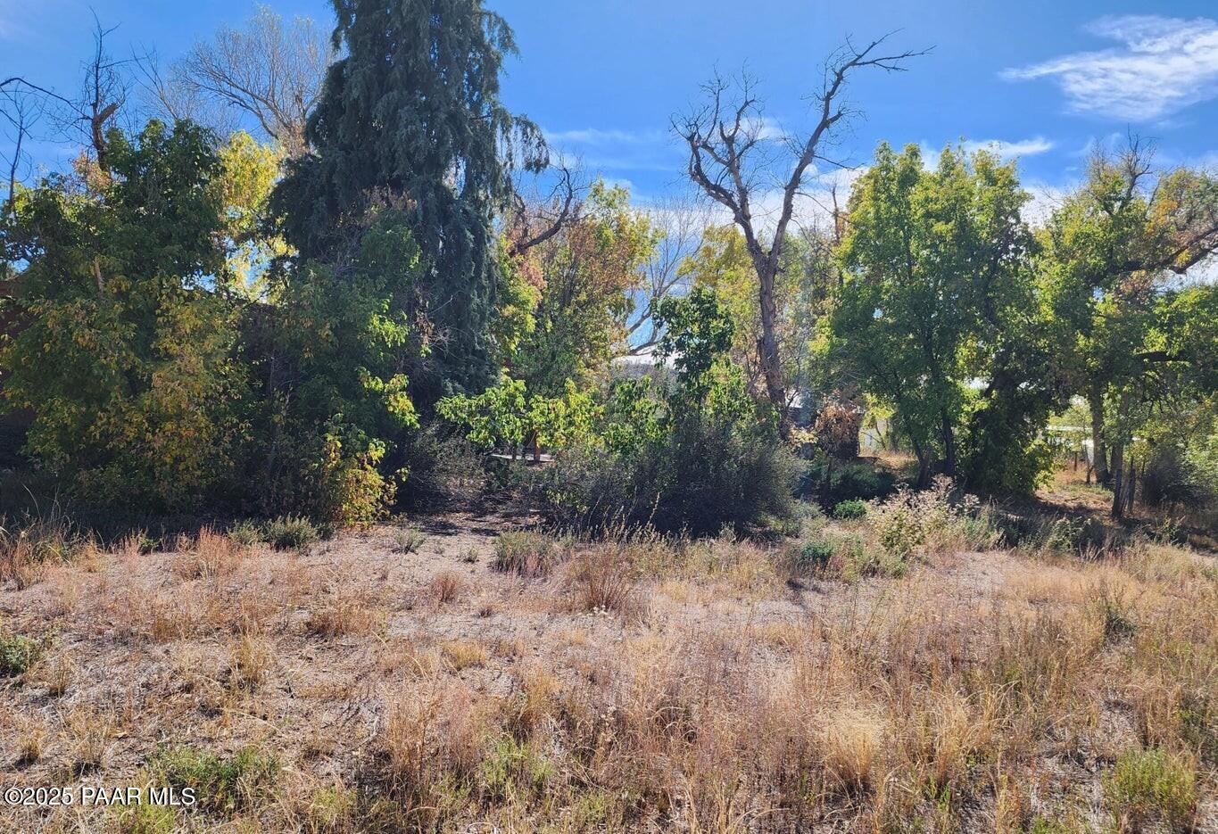 0 Shadow Valley/burnt Ranch Prescott, AZ 86305 - Photo 5 of 15 Land