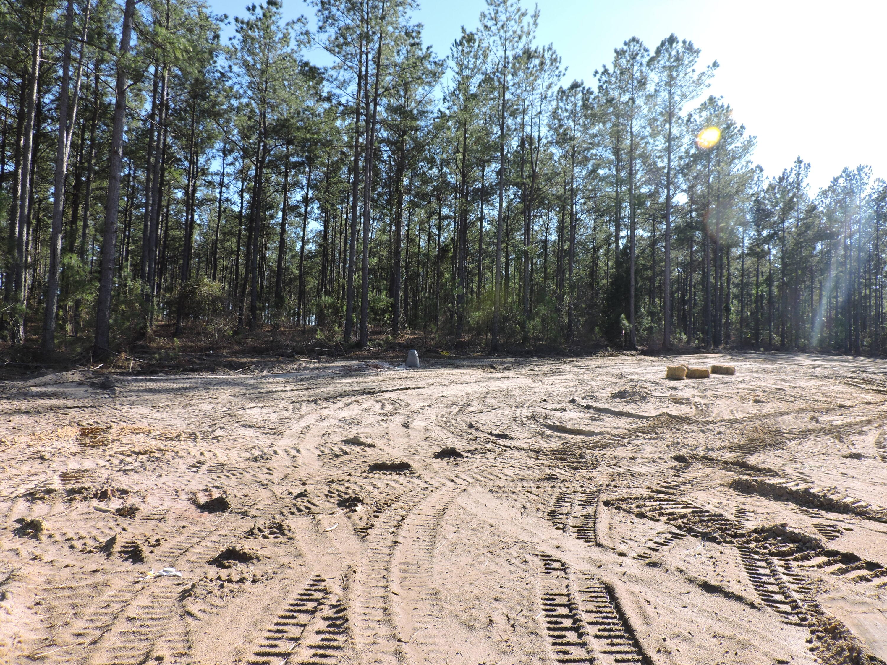 818 White Pond Road Williston, SC 29853 - Photo 7 of 42
