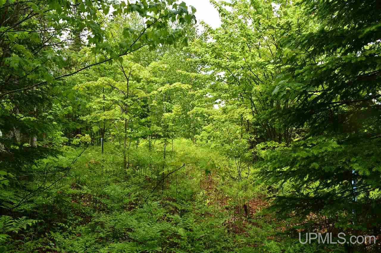 Tbd Mud Lake Road Lake Linden, MI 49945 - Photo 14 of 28