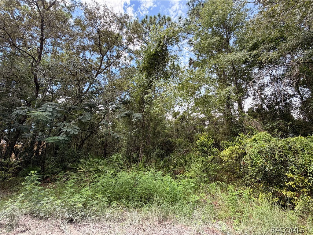 5710 South Leopard Point Homosassa, FL 34446 - Photo 3 of 10 Gallery Image 3