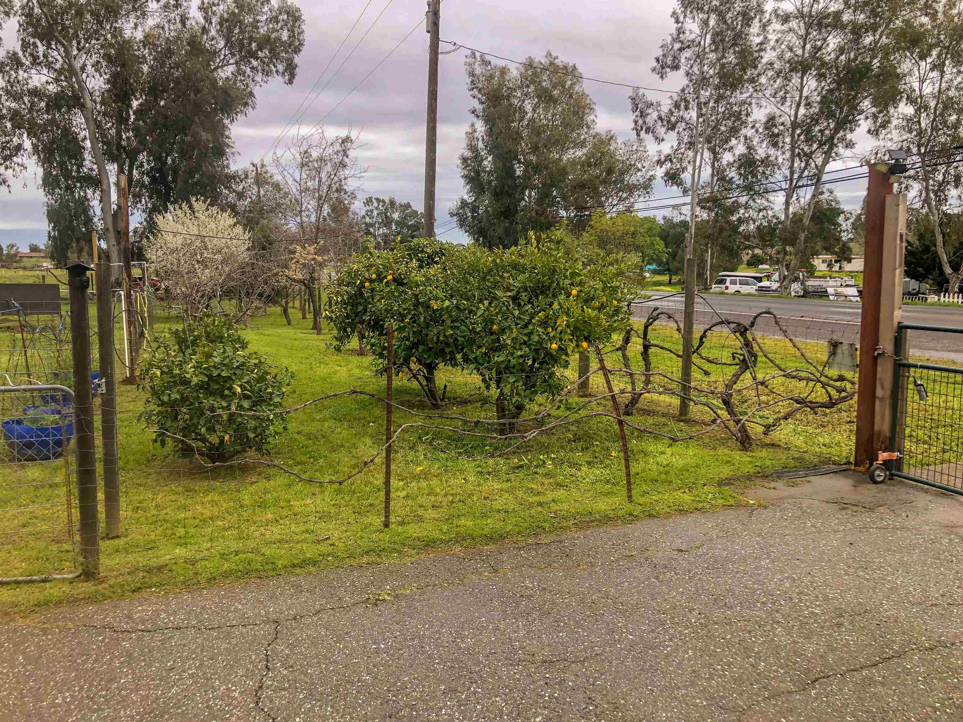 23848 Hoag Road Corning, CA 96021 - Photo 40 of 73