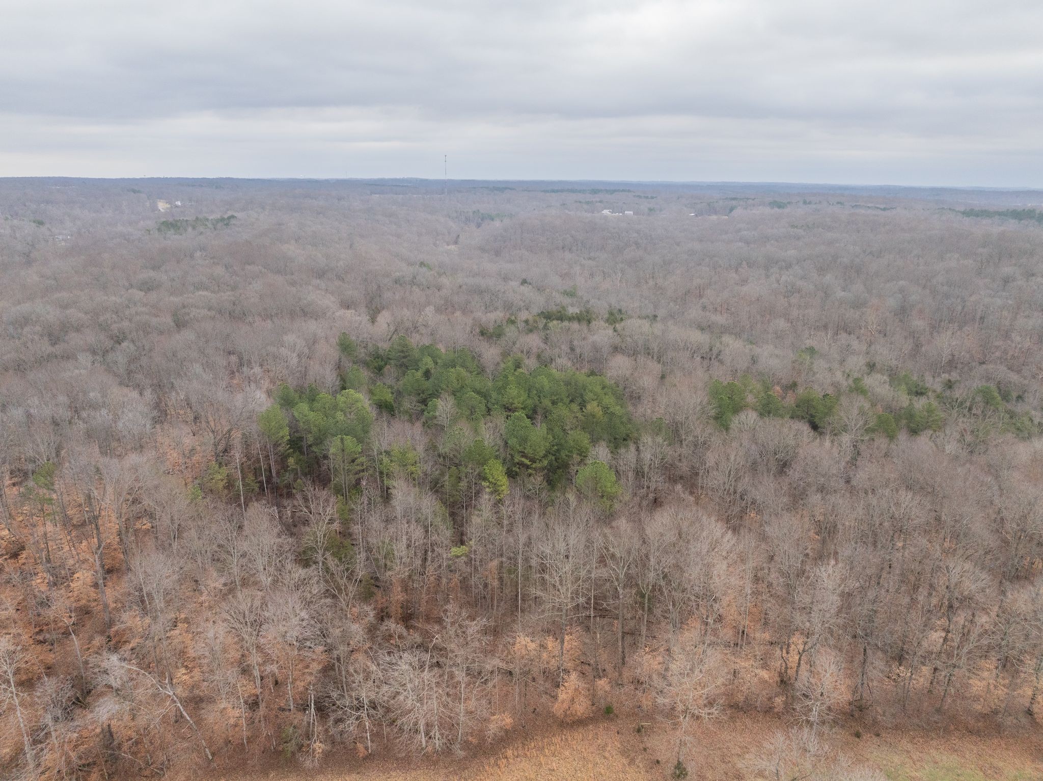 0 Wiley Branch Road Dickson, TN 37055 - Photo 9 of 27
