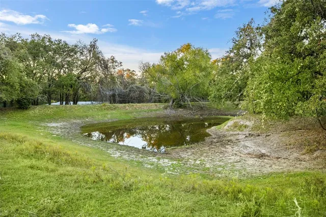 a view of a lake in a yard