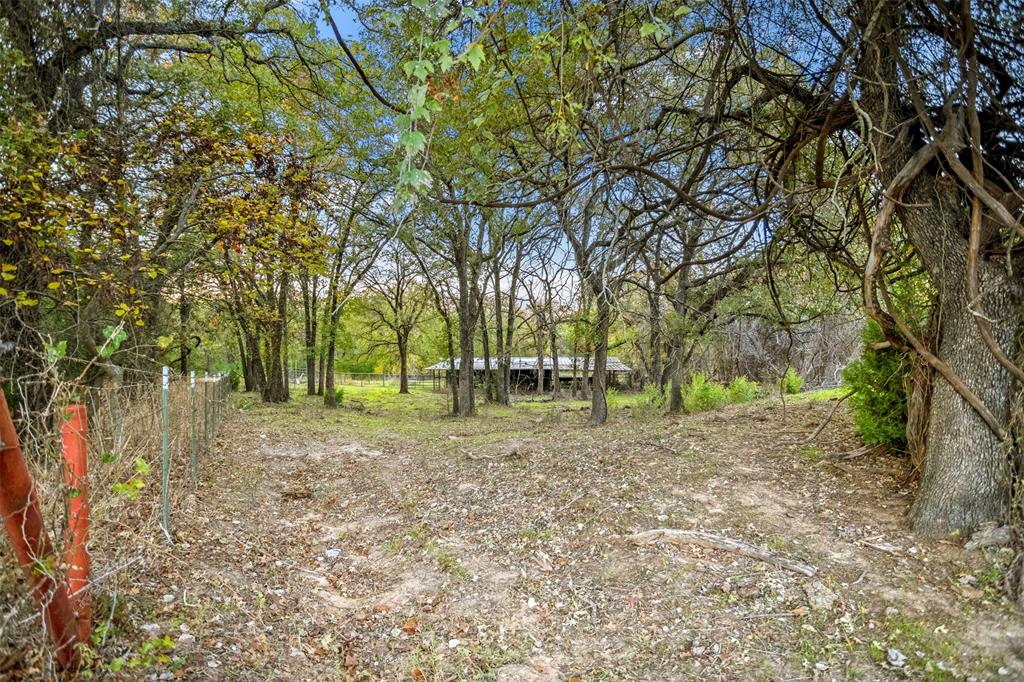 199 Cheyenne Trail Springtown, TX 76082 - Photo 14 of 22 a view of a tree in a yard