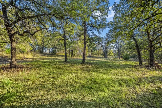 a view of a field with trees