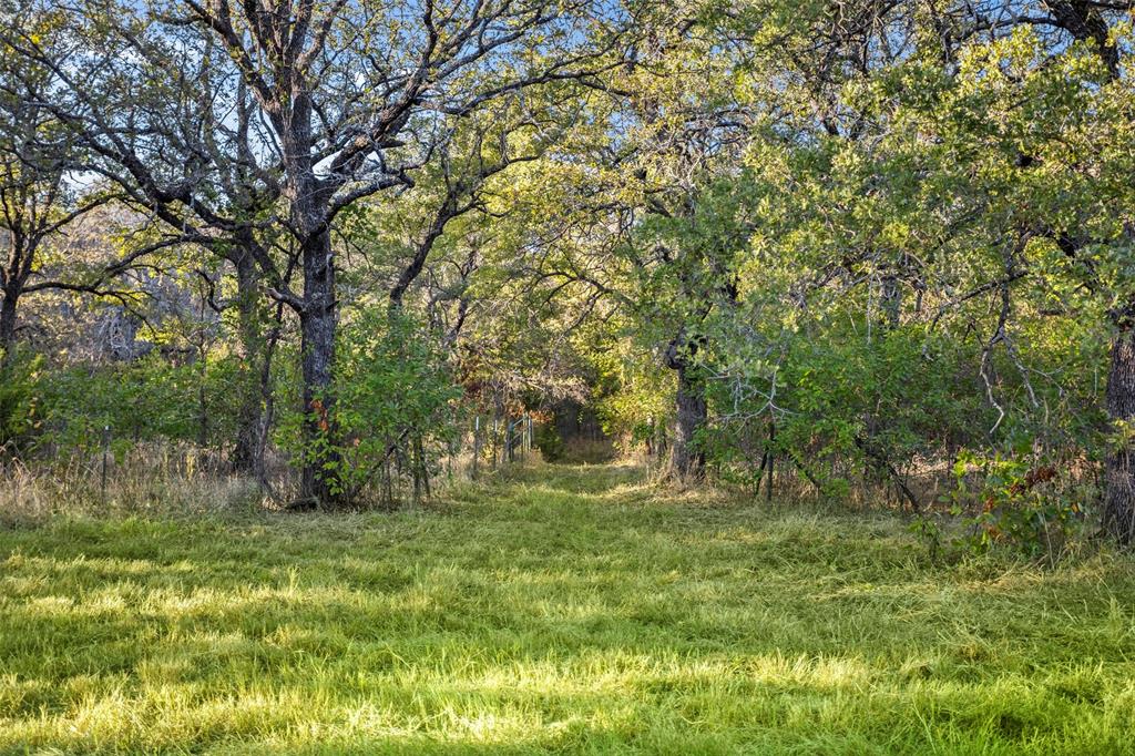 199 Cheyenne Trail Springtown, TX 76082 - Photo 16 of 22 a big yard with lots of green space and house in the back
