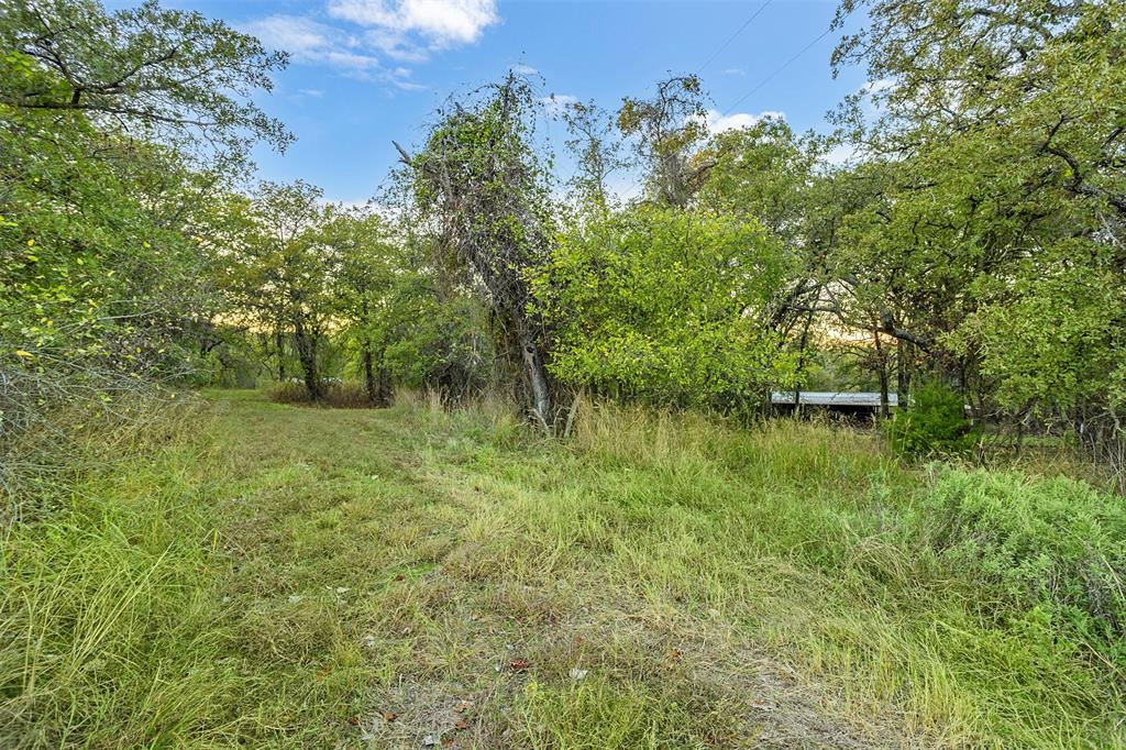 199 Cheyenne Trail Springtown, TX 76082 - Photo 17 of 22 a view of a garden with a lake