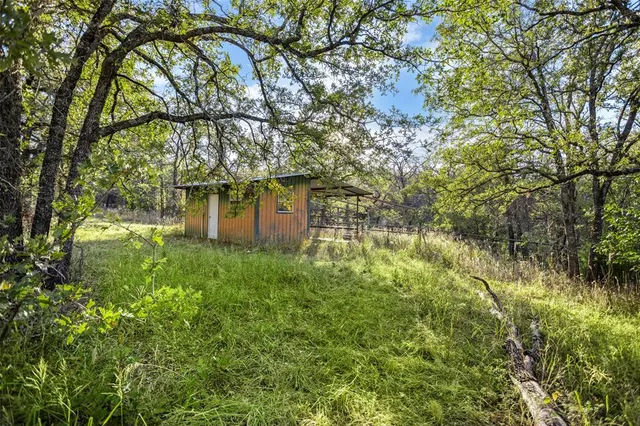 a backyard of a house with lots of plants and tree