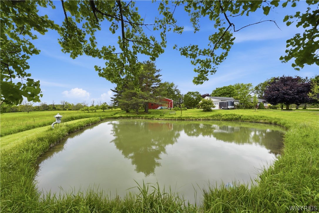 9950 Harper Road Darien, NY 14036 - Photo 8 of 50 Beautiful pond