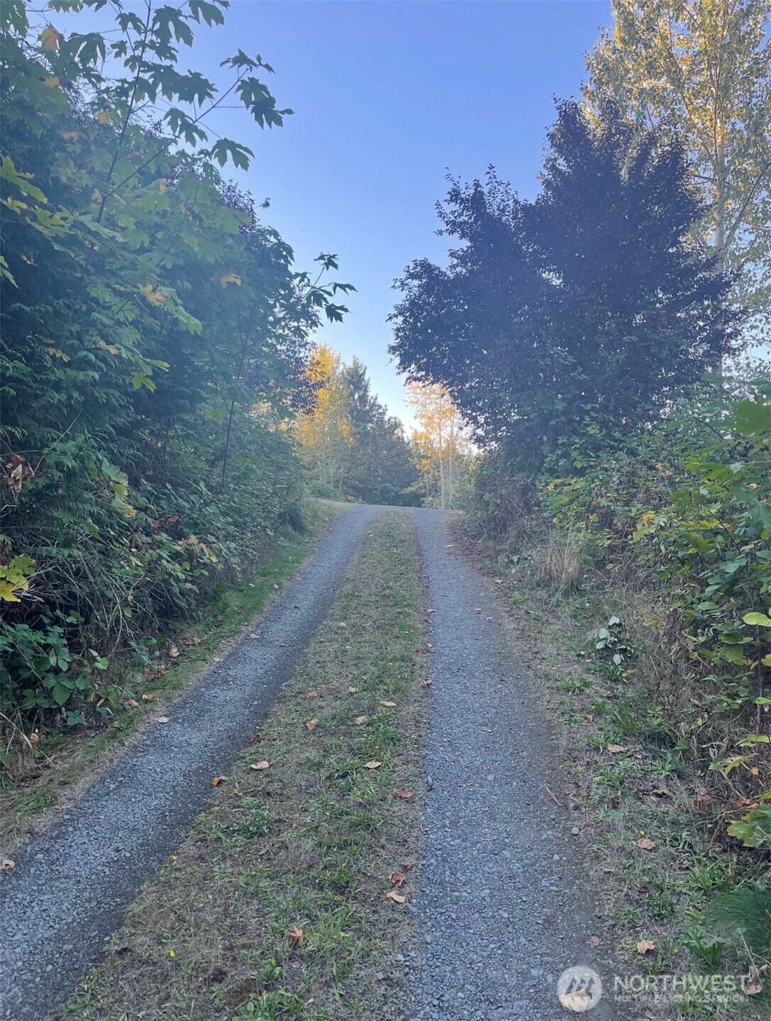 31410 Orville Road East Graham, WA 98338 - Photo 39 of 40