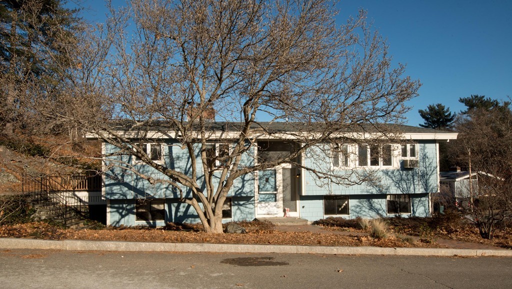 a front view of a house with a tree