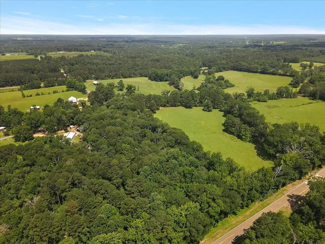 $479,000 | 3350 Mt Pleasant Lane Southeast, Bogue Chitto, MS 39629