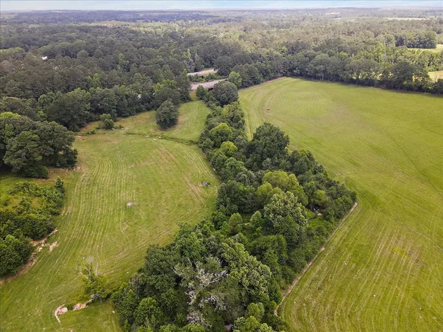 $479,000 | 3350 Mt Pleasant Lane Southeast, Bogue Chitto, MS 39629