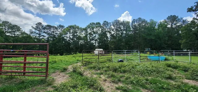 $479,000 | 3350 Mt Pleasant Lane Southeast, Bogue Chitto, MS 39629