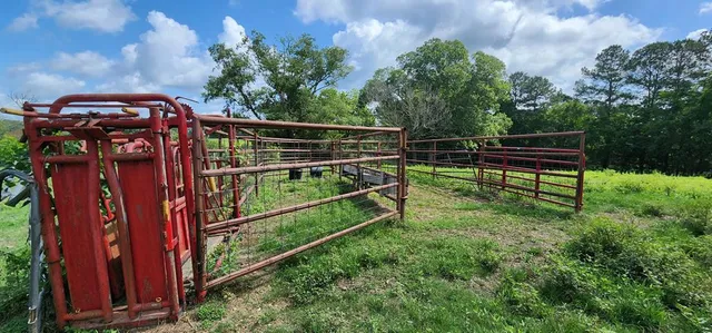 $479,000 | 3350 Mt Pleasant Lane Southeast, Bogue Chitto, MS 39629