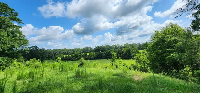 $479,000 | 3350 Mt Pleasant Lane Southeast, Bogue Chitto, MS 39629