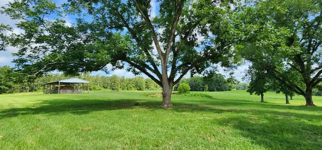 $479,000 | 3350 Mt Pleasant Lane Southeast, Bogue Chitto, MS 39629