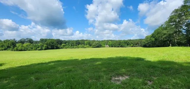 $479,000 | 3350 Mt Pleasant Lane Southeast, Bogue Chitto, MS 39629