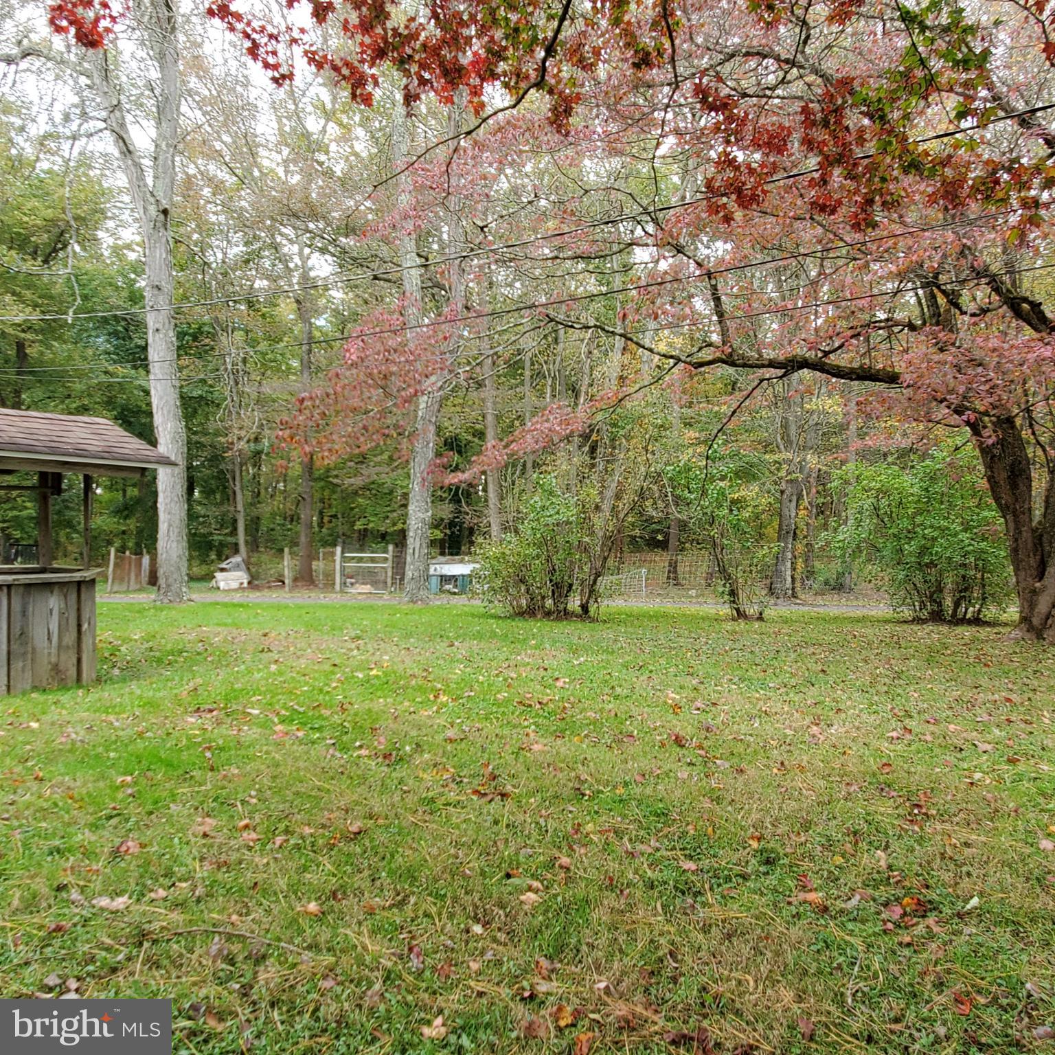 44 Brickyard Road Woodstown, NJ 08098 - Photo 4 of 14