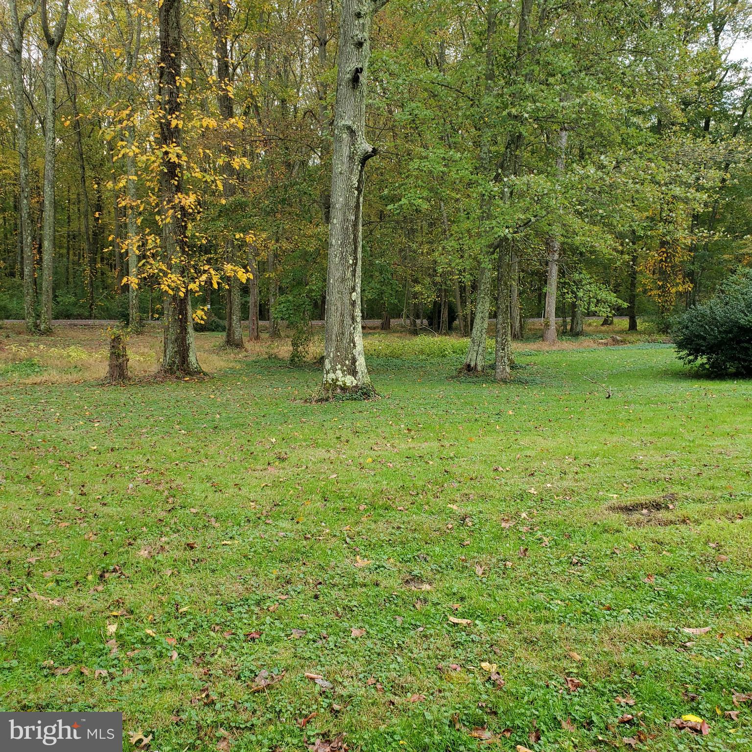 44 Brickyard Road Woodstown, NJ 08098 - Photo 6 of 14