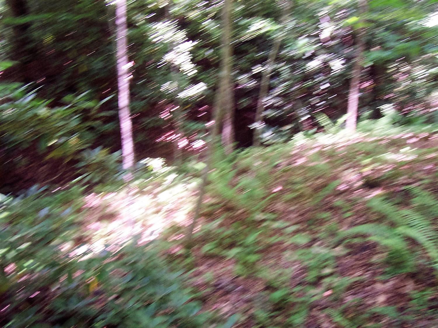 4236 Beech Timber Road Beattyville, KY 41311 - Photo 24 of 76 Photo 24
