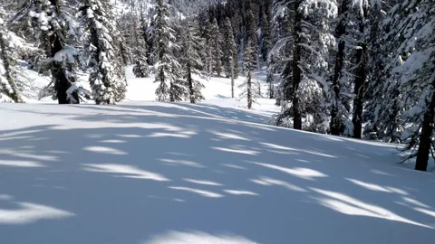 $769,000 | 2090 Chalet Road, Unit 2, Olympic Valley, CA 96146