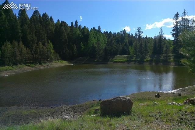 189 Tidi Road Florissant, CO 80816 - Photo 27 of 28