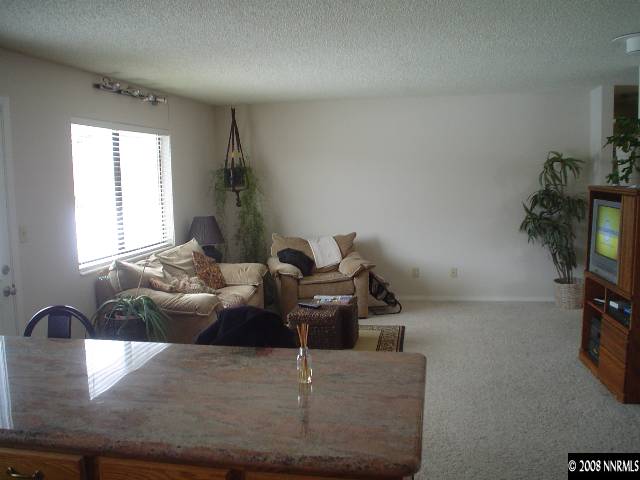 13840 Cochise Drive Reno, NV 89521 - Photo 4 of 9 Photo 4