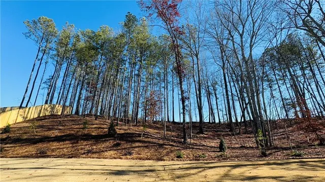 a view of a backyard of the house