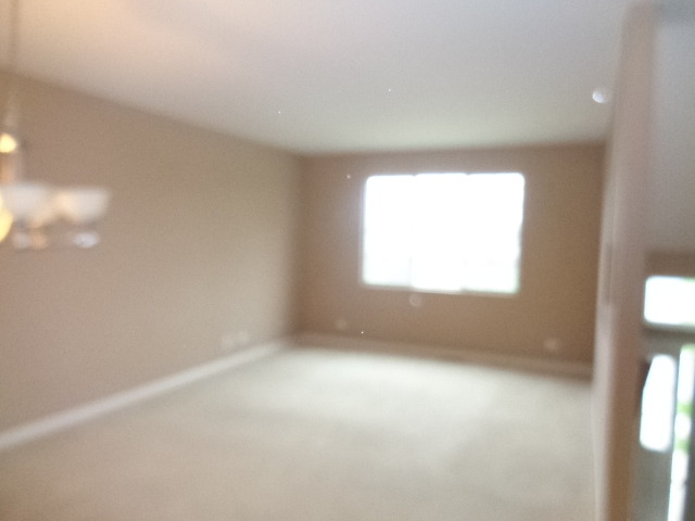 10329 Kerry Ridge Court Chicago Ridge, IL 60415 - Photo 4 of 12 an empty room with windows