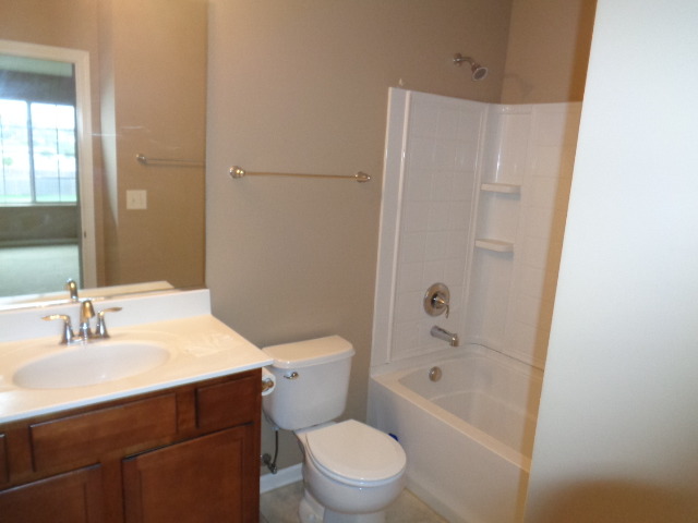 10329 Kerry Ridge Court Chicago Ridge, IL 60415 - Photo 8 of 12 a bathroom with a sink a toilet and shower