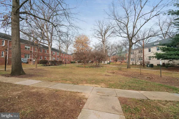 a view of a yard with plants and a large tree