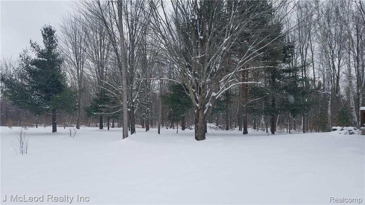 3685 Rowland Road Vassar, MI 48768 - Photo 46 of 57 20171215_140845.jpg
