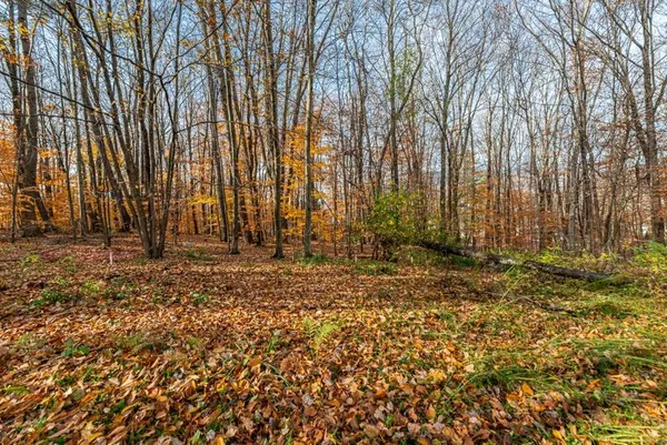 $199,500 | Oa East Manchester Road, Manchester Center, VT 05255