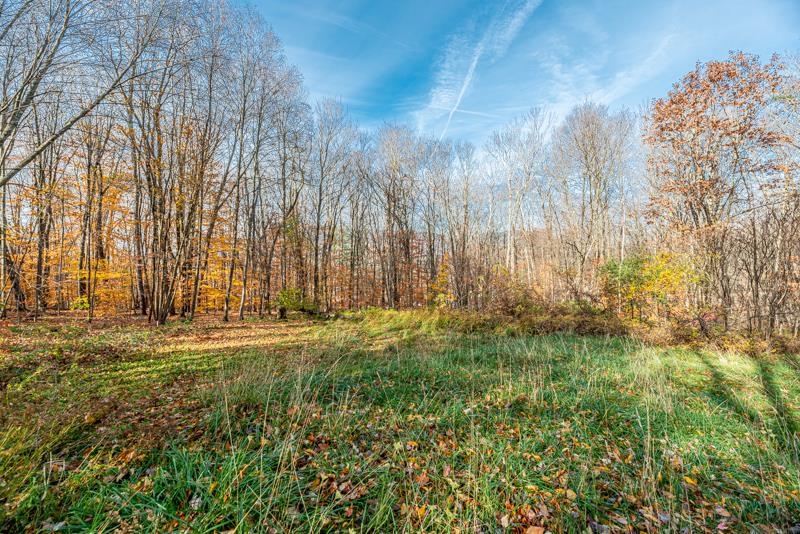 Oa East Manchester Road Manchester Center, VT 05255 - Photo 11 of 20