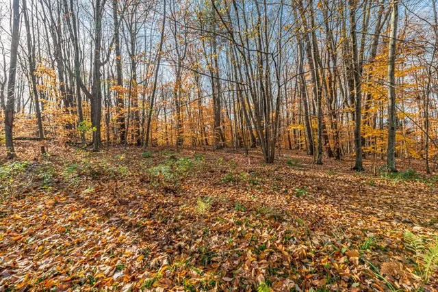 $215,000 | Oa East Manchester Road, Manchester Center, VT 05255