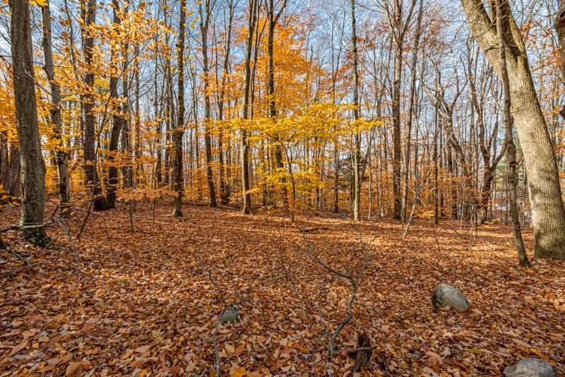 Oa East Manchester Road Manchester Center, VT 05255 - Photo 3 of 20