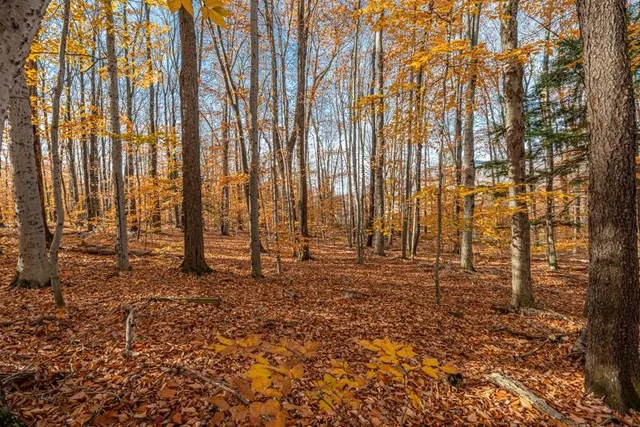 $215,000 | Oa East Manchester Road, Manchester Center, VT 05255