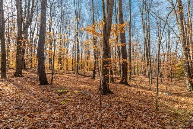 $215,000 | Oa East Manchester Road, Manchester Center, VT 05255