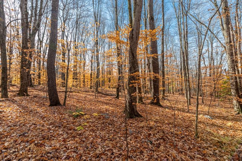 Oa East Manchester Road Manchester Center, VT 05255 - Photo 5 of 20